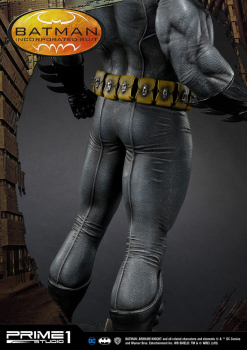 Batman Incorporated Suit