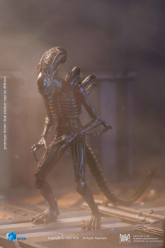 Alien Warrior