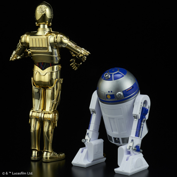 C-3PO & R2-D2