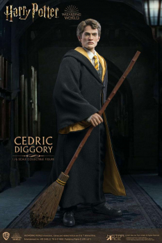 Cedric Diggory