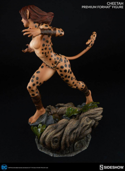 Cheetah Premium Format