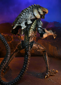 Chrysalis Alien (Movie Color) Actionfigur, Alien vs. Predator (Arcade 1994), 23 cm