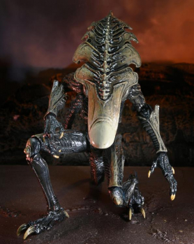 Chrysalis Alien (Movie Color) Actionfigur, Alien vs. Predator (Arcade 1994), 23 cm