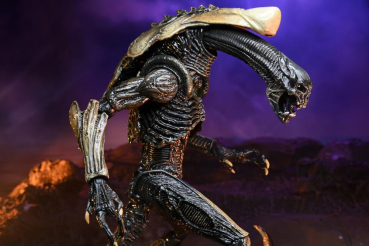 Chrysalis Alien (Movie Color) Actionfigur, Alien vs. Predator (Arcade 1994), 23 cm