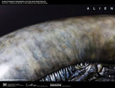 Alien Covenant Kopf