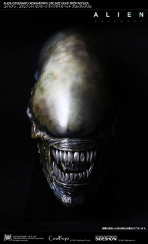 Alien Covenant Kopf