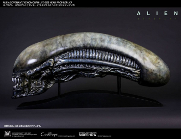 Alien Covenant Kopf