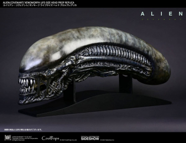 Alien Covenant Kopf