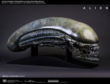 Alien Covenant Kopf