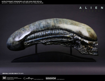 Alien Covenant Kopf