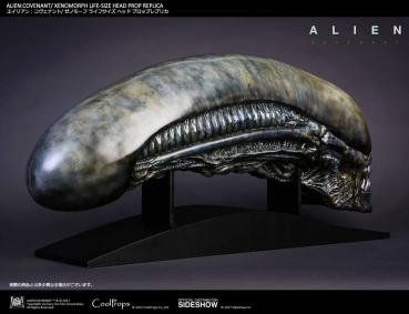 Alien Covenant Kopf