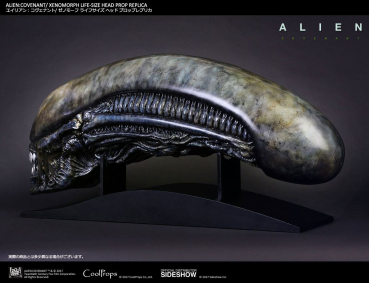 Alien Covenant Kopf