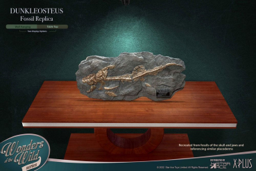 Dunkleosteus Fossilien-Replik Wonders of the Wild, 42 cm