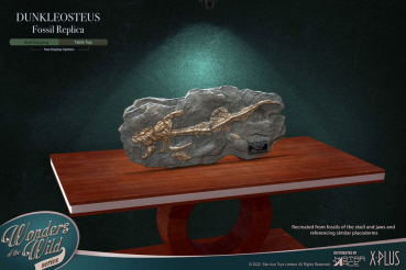 Dunkleosteus Fossilien-Replik Wonders of the Wild, 42 cm