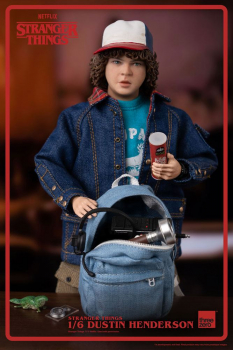 Dustin Henderson Action Figure 1/6, Stranger Things, 23 cm