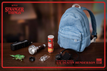 Dustin Henderson Actionfigur 1:6, Stranger Things, 23 cm