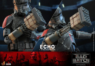 Echo