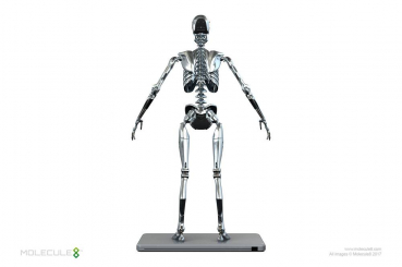 Endoskeleton Mark I