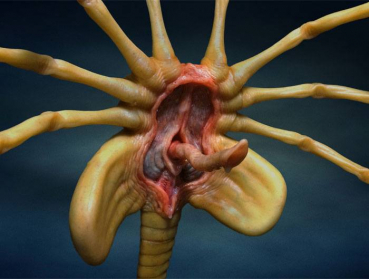 Facehugger Replica 1/1