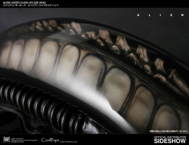 Giger's Alien Schädel