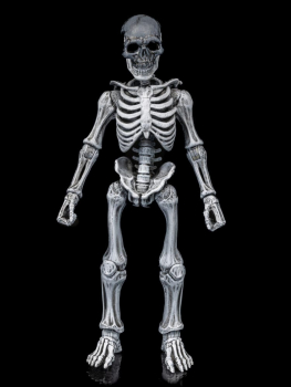 Graveyard Skeletons Actionfiguren-Viererpack, 17 cm