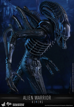 Movie Masterpiece Alien Warrior