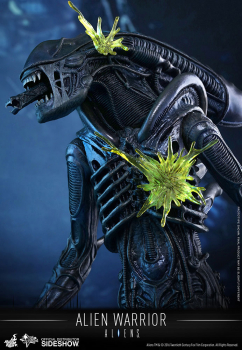 Movie Masterpiece Alien Warrior