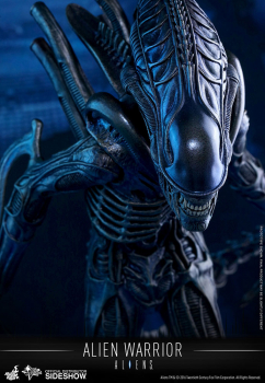 Movie Masterpiece Alien Warrior