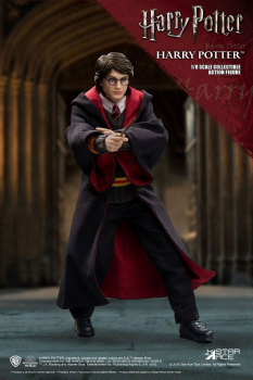 Harry Potter Real Master Series