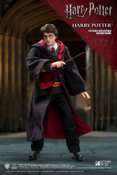 Harry Potter Real Master Series