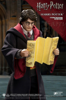 Harry Potter Real Master Series