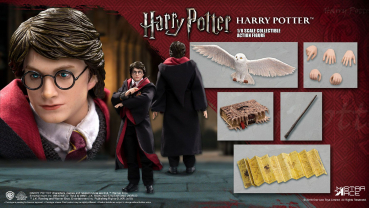 Harry Potter Real Master Series