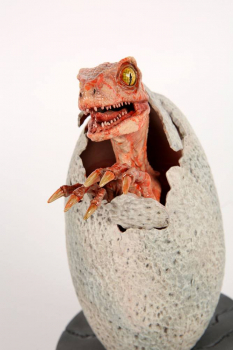 Raptor Hatchling