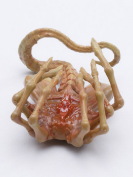 Alien Egg & Facehugger Set