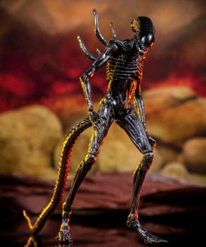 Covenant Xenomorph