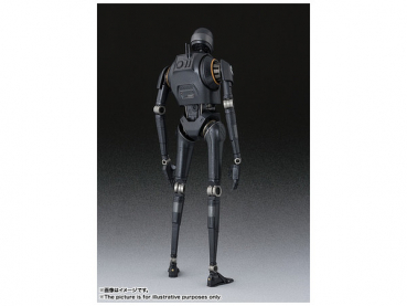 K-2SO SHF