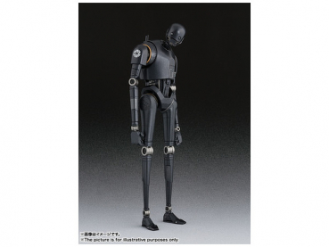 K-2SO SHF