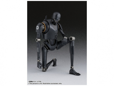 K-2SO SHF