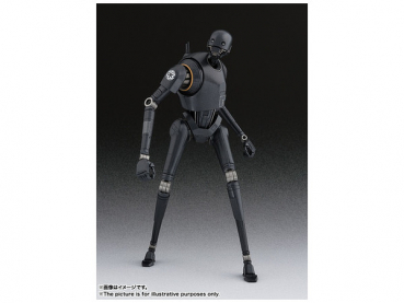 K-2SO SHF