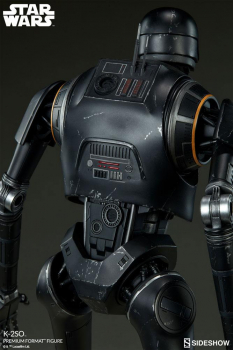 K-2SO Premium Format