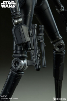 K-2SO Premium Format