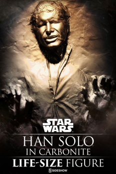 Han Solo in Carbonite