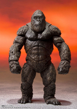 Kong