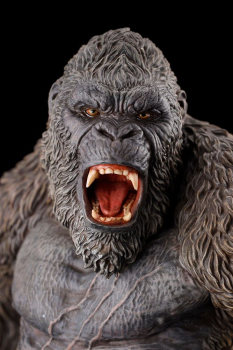 Kong