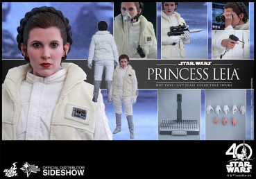 Princess Leia Hot Toys