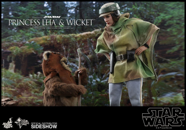 Princess Leia & Wicket