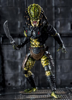 Lost Predator