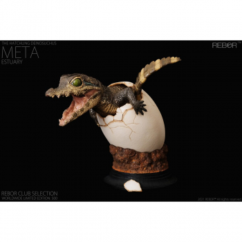 Meta the Hatchling