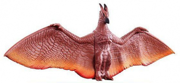 Rodan