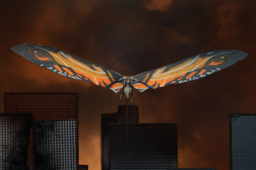 Mothra 2019